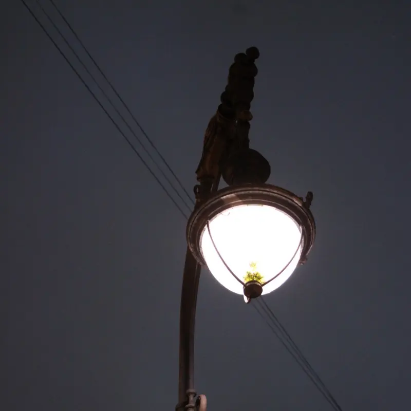 Александр Лопата