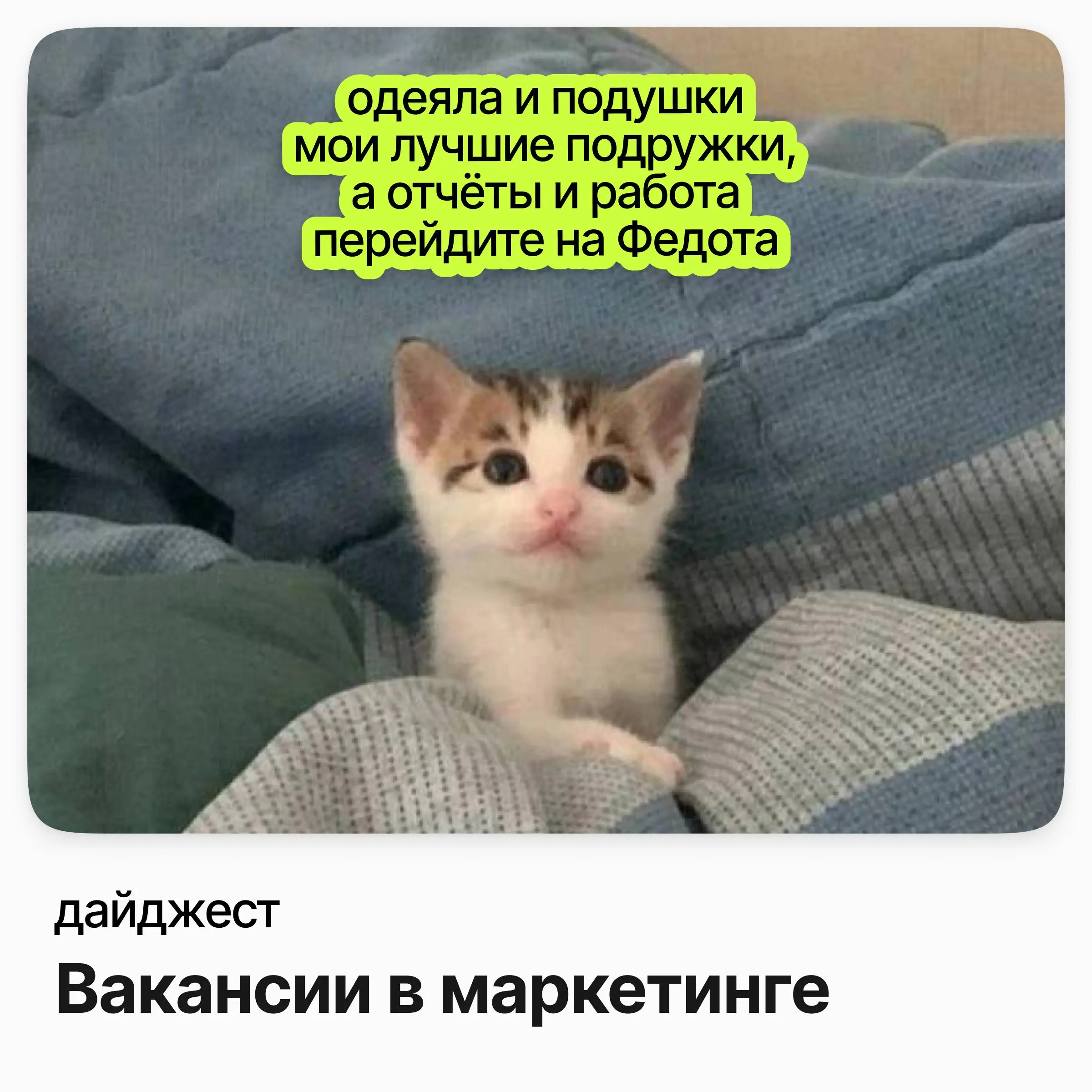 💼💼💼Вакансии в маркетинге на которые стоит обратить внимание
Руководитель направления маркетинга / УльтимаТек
Зарплата: до 402 000 ₽ /на руки
Подробнее
Бренд-менеджер (ОТС) / Материа Медика Холдинг
Зар... | Сетка — социальная сеть от hh.ru