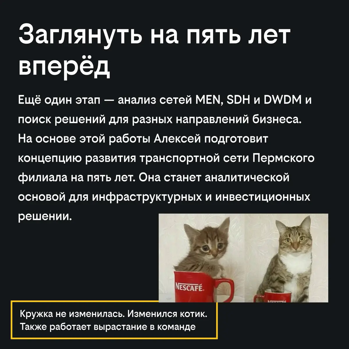 Стажер и влияние: это реально? | Сетка — социальная сеть от hh.ru