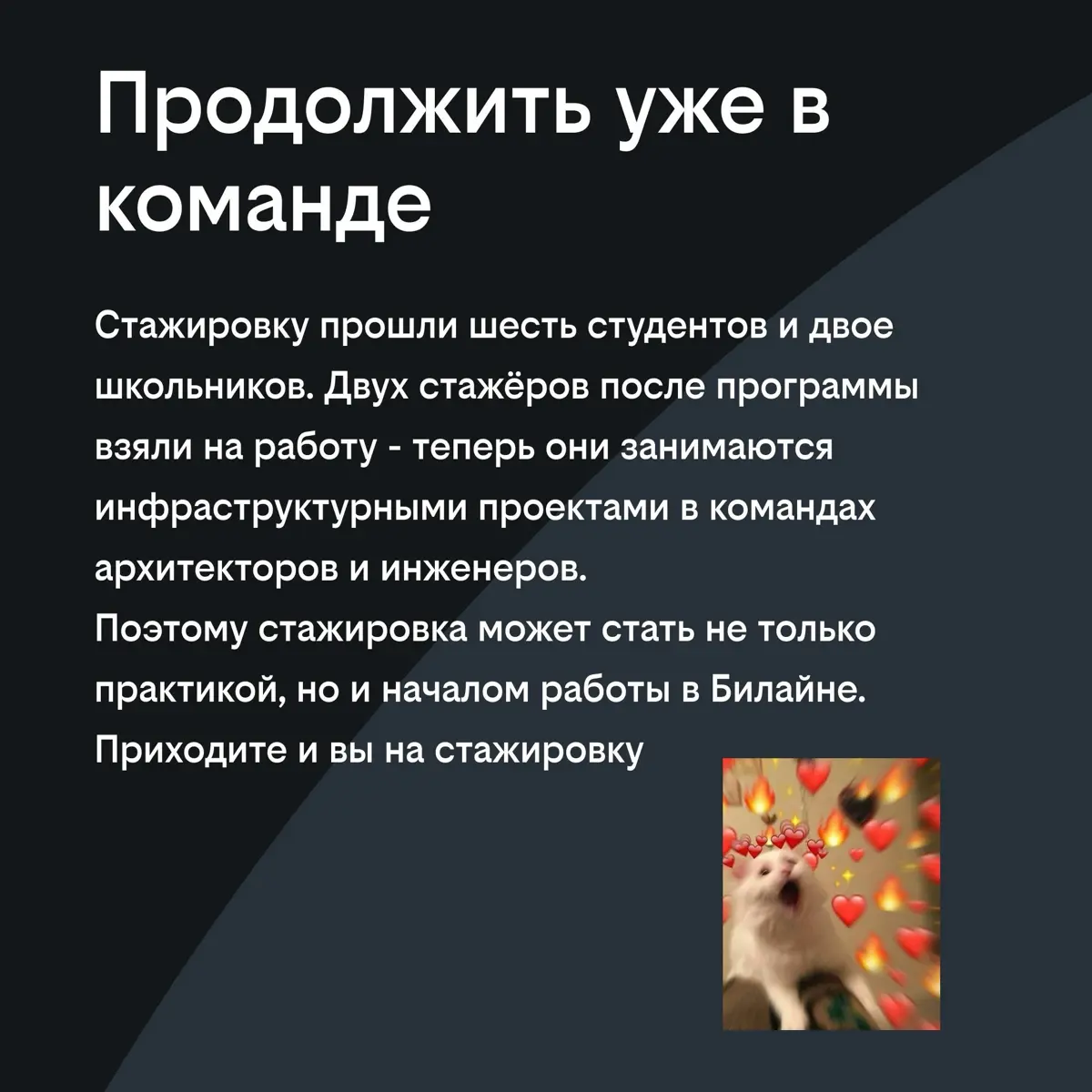 Стажер и влияние: это реально? | Сетка — социальная сеть от hh.ru