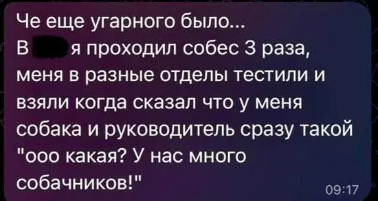 Как повысить свои шансы на оффер
Многие, кто сейчас в поиске работы, задаются одним и тем же вопросом:
Че бы еще такого сделать, чтобы офферы посыпались как из рога изобилия?
✅Если вы работали в стран... | Сетка — социальная сеть от hh.ru