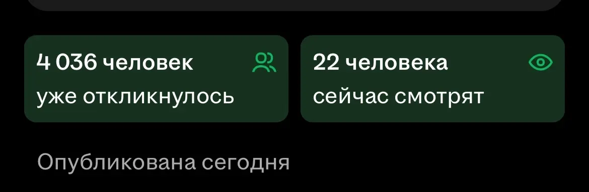 Ищу работу, не сдаюсь… | Сетка — социальная сеть от hh.ru