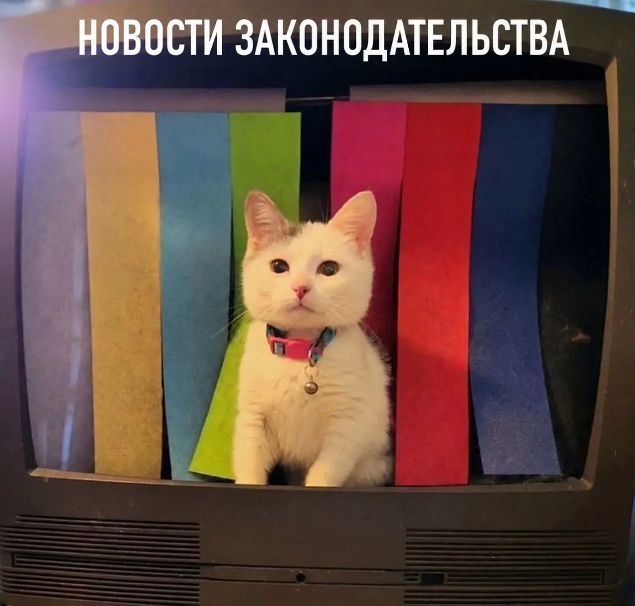 Изменения с 1 сентября 2026 года - что нужно знать | Сетка — социальная сеть от hh.ru