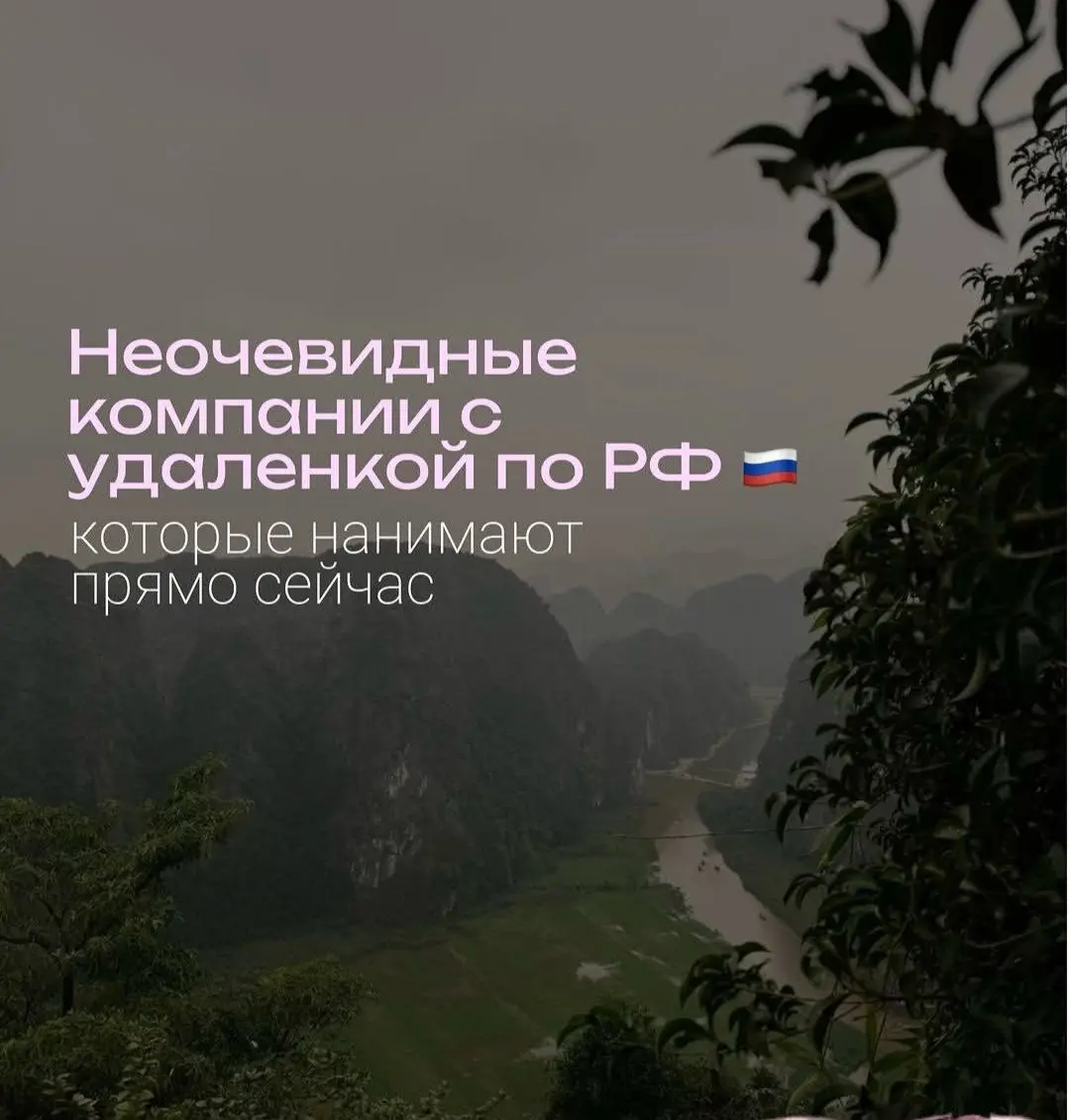 Для тех кто ищет удаленную работу) | Сетка — социальная сеть от hh.ru