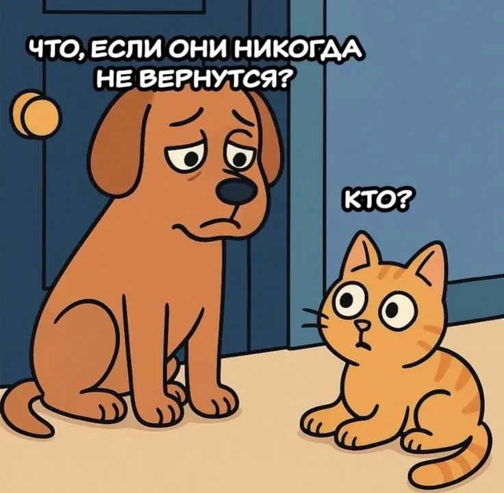 Кто вы? Кошатник 🐱или собачник🐶? | Сетка — социальная сеть от hh.ru