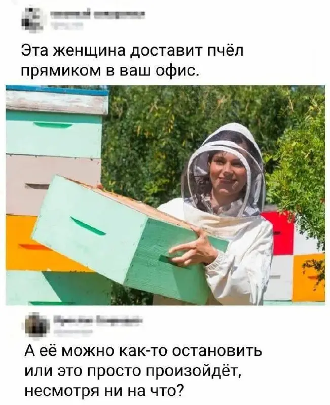 #wtf | Сетка — социальная сеть от hh.ru