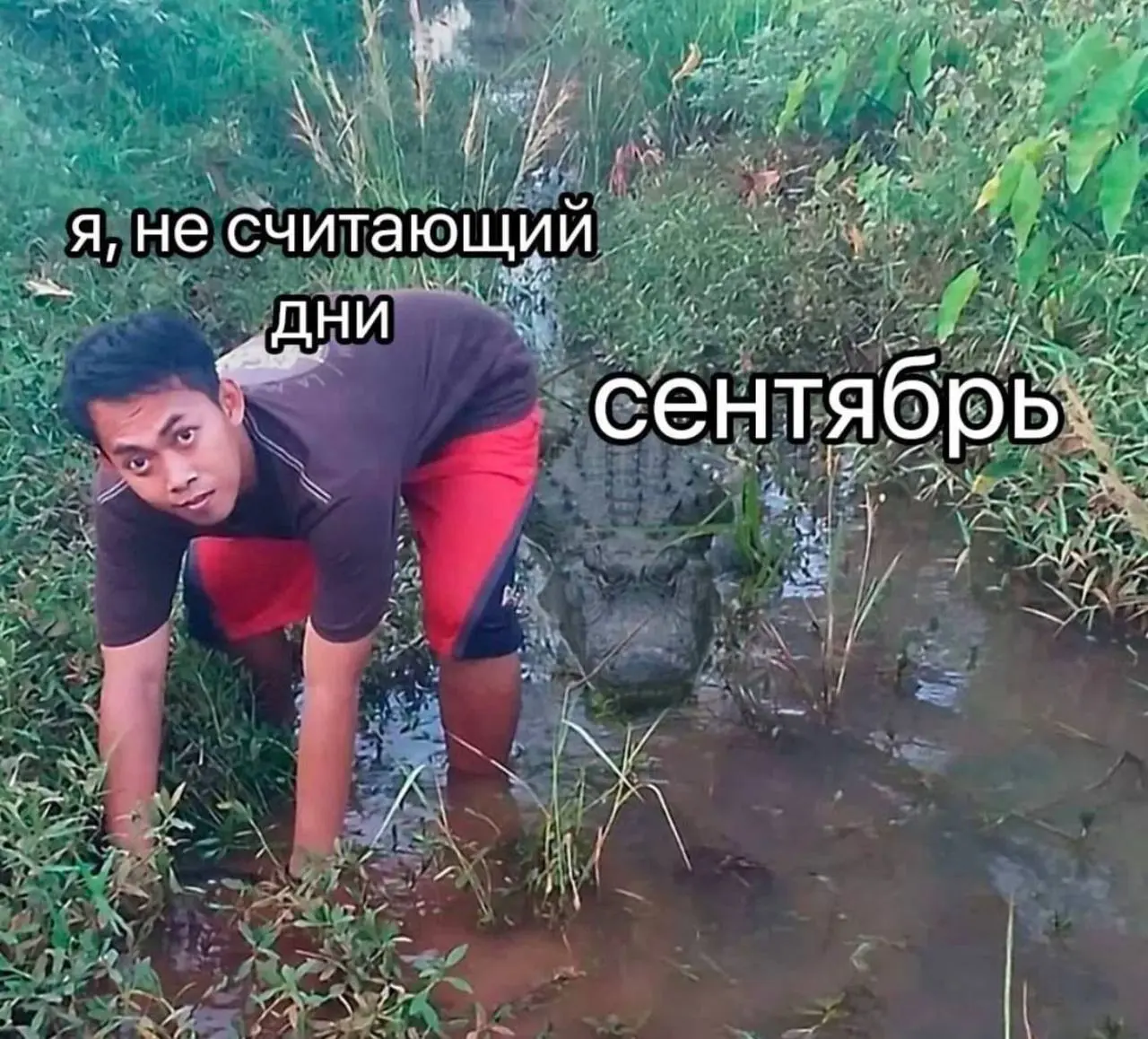 #life | Сетка — социальная сеть от hh.ru