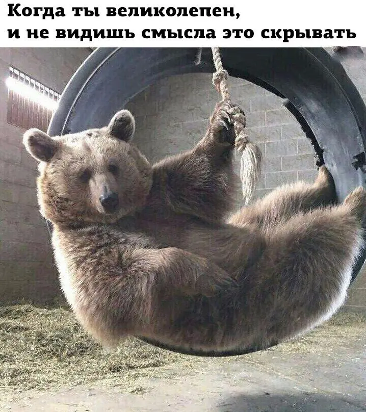 Как я перестал боялся просить большего | Сетка — социальная сеть от hh.ru
