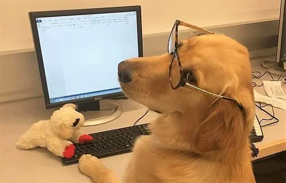 Ищу роль People Partner / HR Manager, 7+ лет опыта | Сетка — социальная сеть от hh.ru