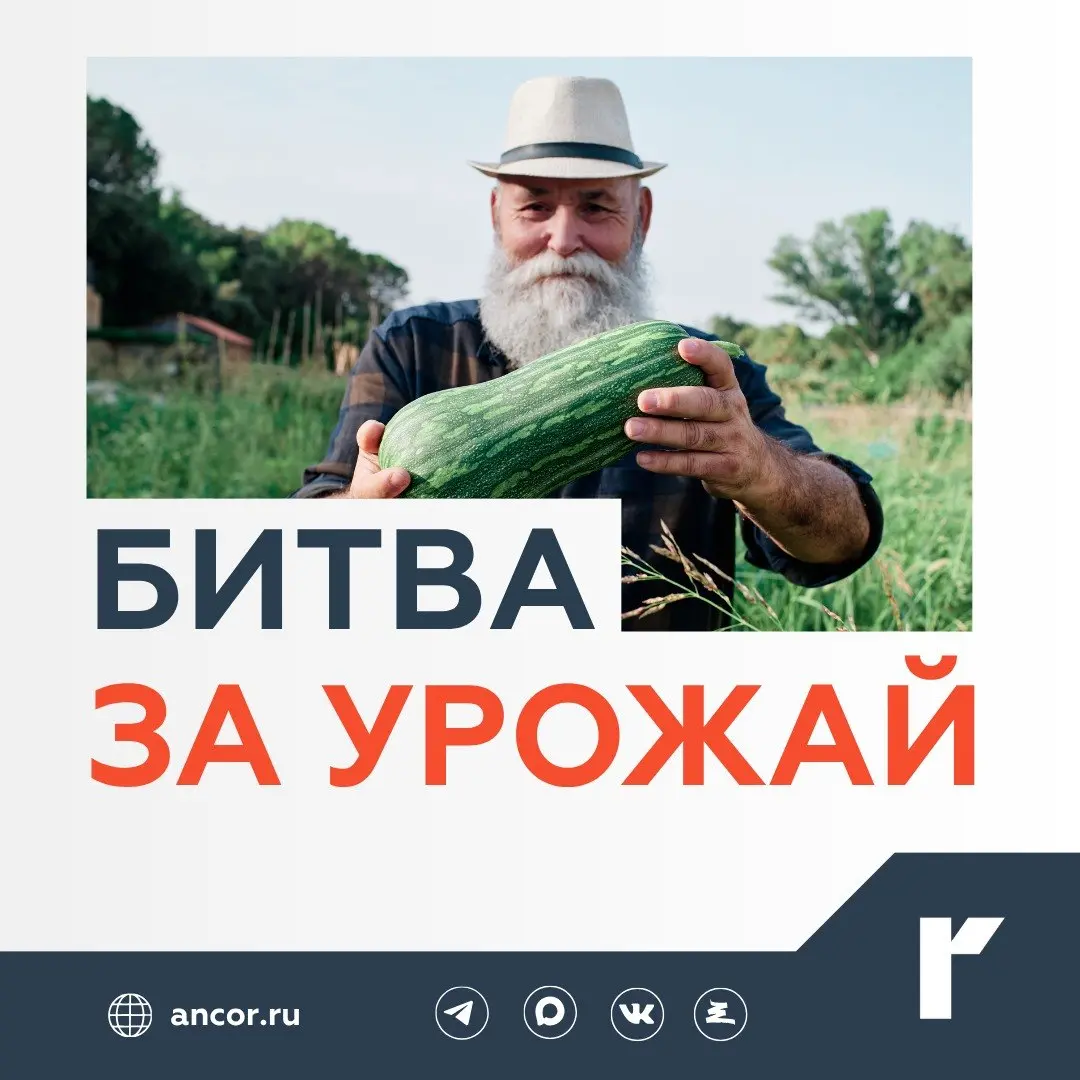 🌾 Спрос на сезонную подработку в АПК растет
По данным Авито Подработки, в первом полугодии 2026 года число откликов на предложения о подработке в агросекторе увеличилось на 14%, зарплатное предложение... | Сетка — социальная сеть от hh.ru