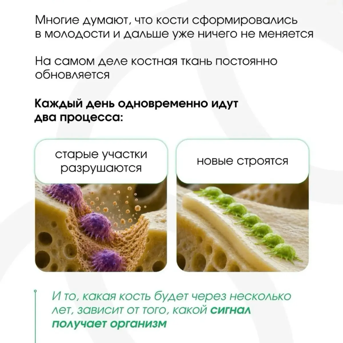 🚀😌 | Сетка — социальная сеть от hh.ru