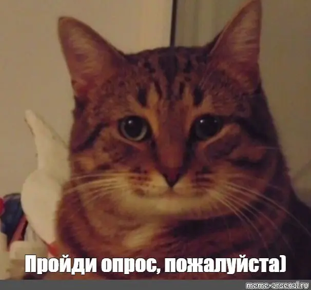 Ребят, кто нанимал когда нибудь людей в команду, помогите плиз, пройдите опросник, там всего 6 вопросов по времени 2 минуты займет, но вы очень поможете нам научиться говорить на языке клиента, а не н... | Сетка — социальная сеть от hh.ru