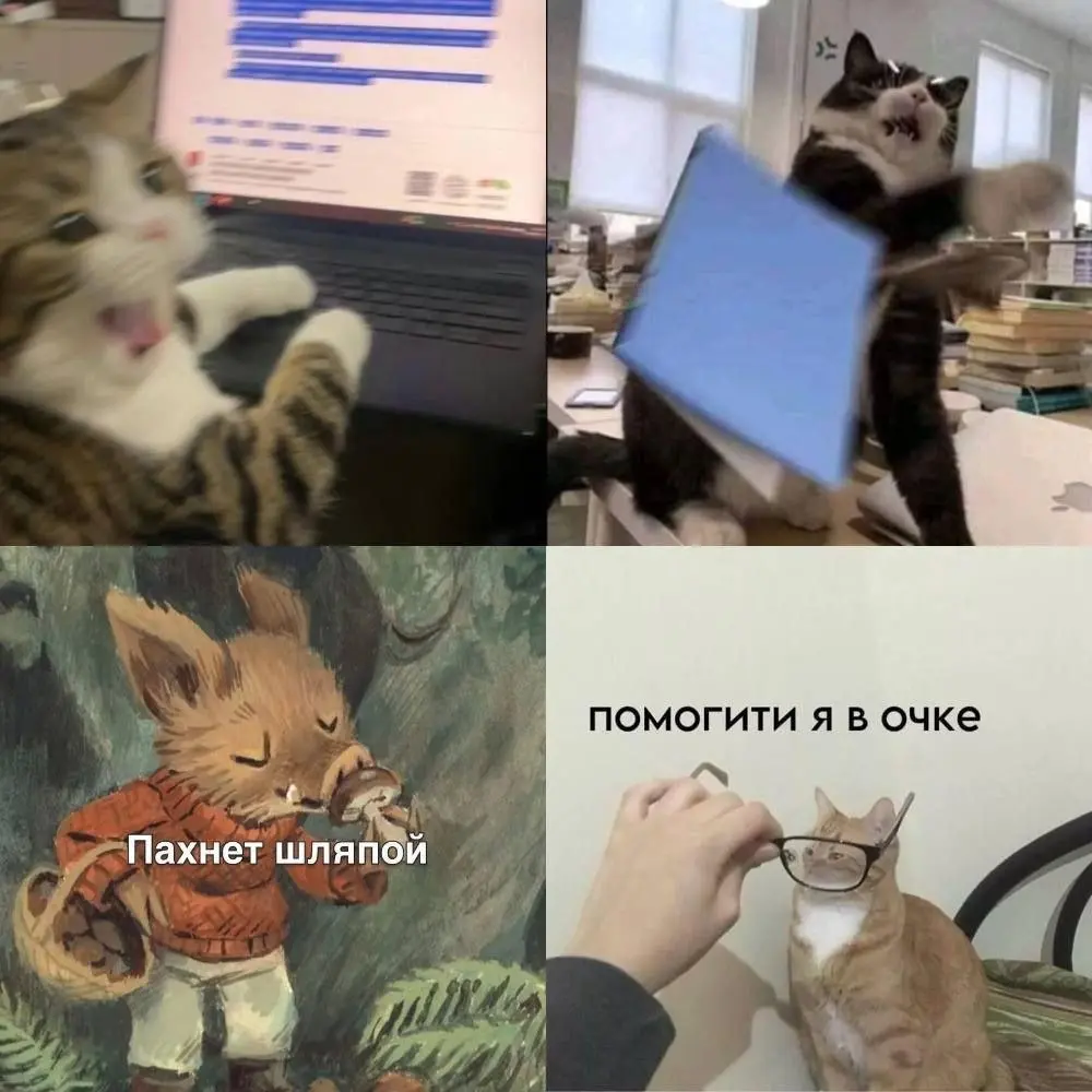Типичный вторник разработчика | Сетка — социальная сеть от hh.ru