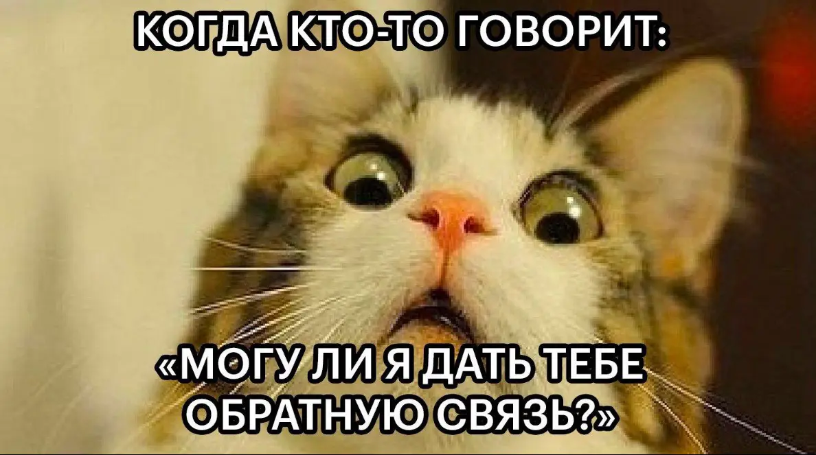 Ябеда 😜 | Сетка — социальная сеть от hh.ru