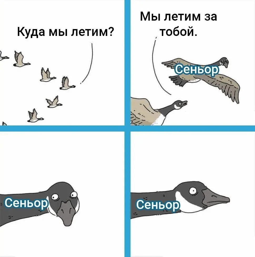 В недавнем выпуске о блогах наша гостья Юлия рассказывала, что использовала мем для привлечения читателей. Делимся мемом | Сетка — социальная сеть от hh.ru