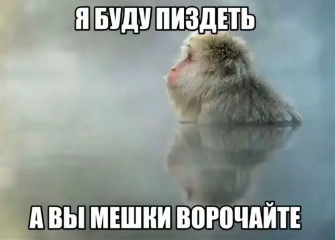 Когда добавили к должности «ведущий» | Сетка — социальная сеть от hh.ru