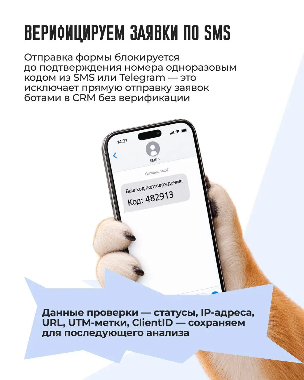 💀 Фрод в Яндекс | Сетка — социальная сеть от hh.ru