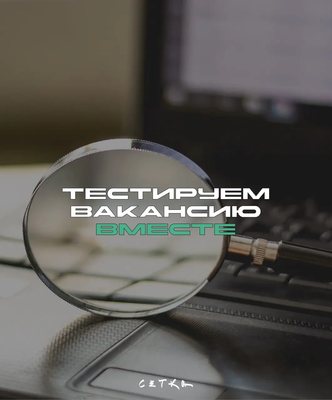 Тестирую.... вакансию? | Сетка — социальная сеть от hh.ru