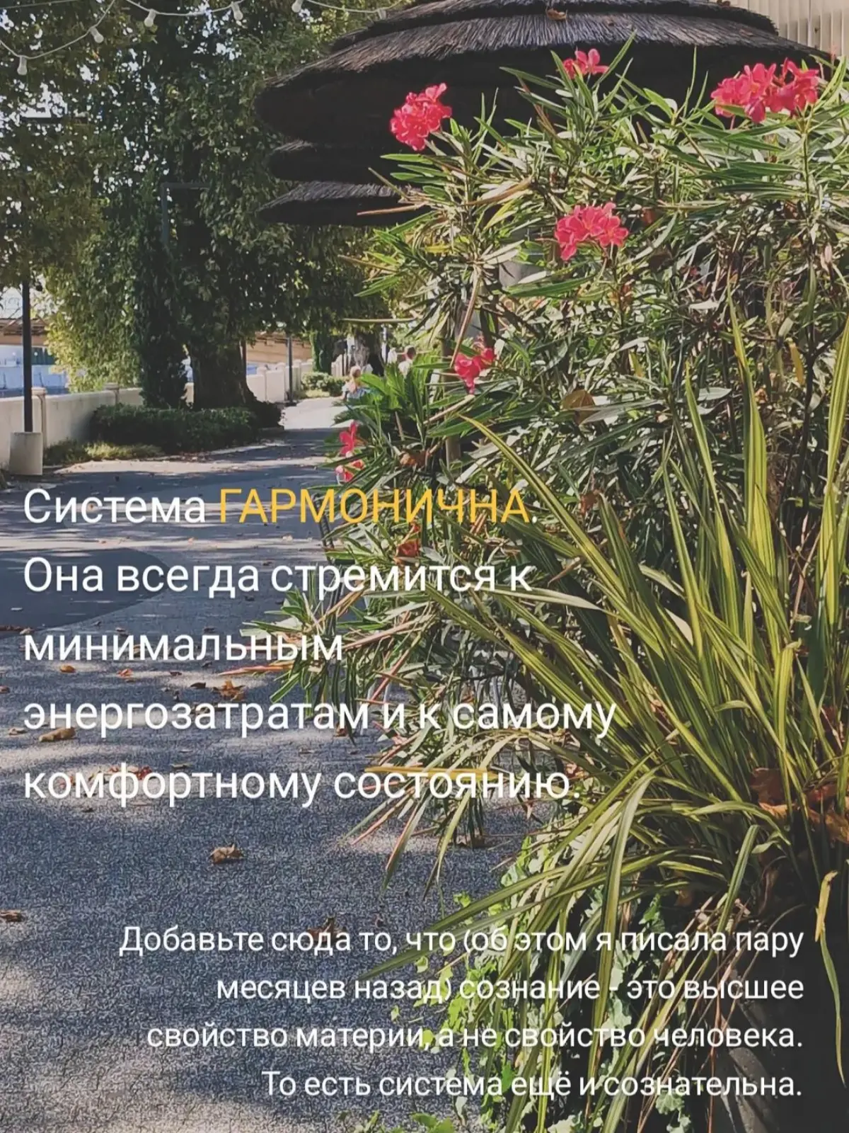 Войти в #резонанс | Сетка — социальная сеть от hh.ru