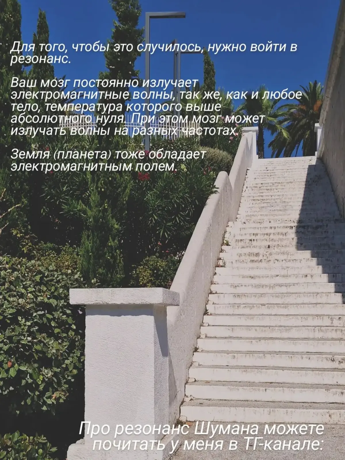 Войти в #резонанс | Сетка — социальная сеть от hh.ru