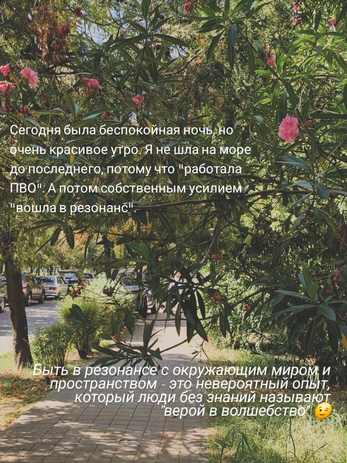 Войти в #резонанс | Сетка — социальная сеть от hh.ru