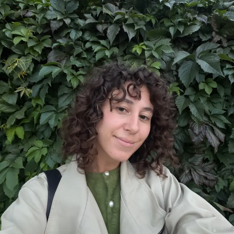 Алла Новикова