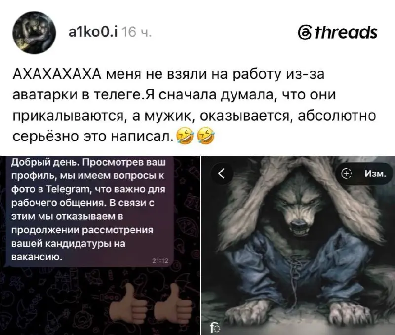 Россиянке отказали в работе из-за аватарки с волком в Telegram. @bankoffo | Сетка — социальная сеть от hh.ru