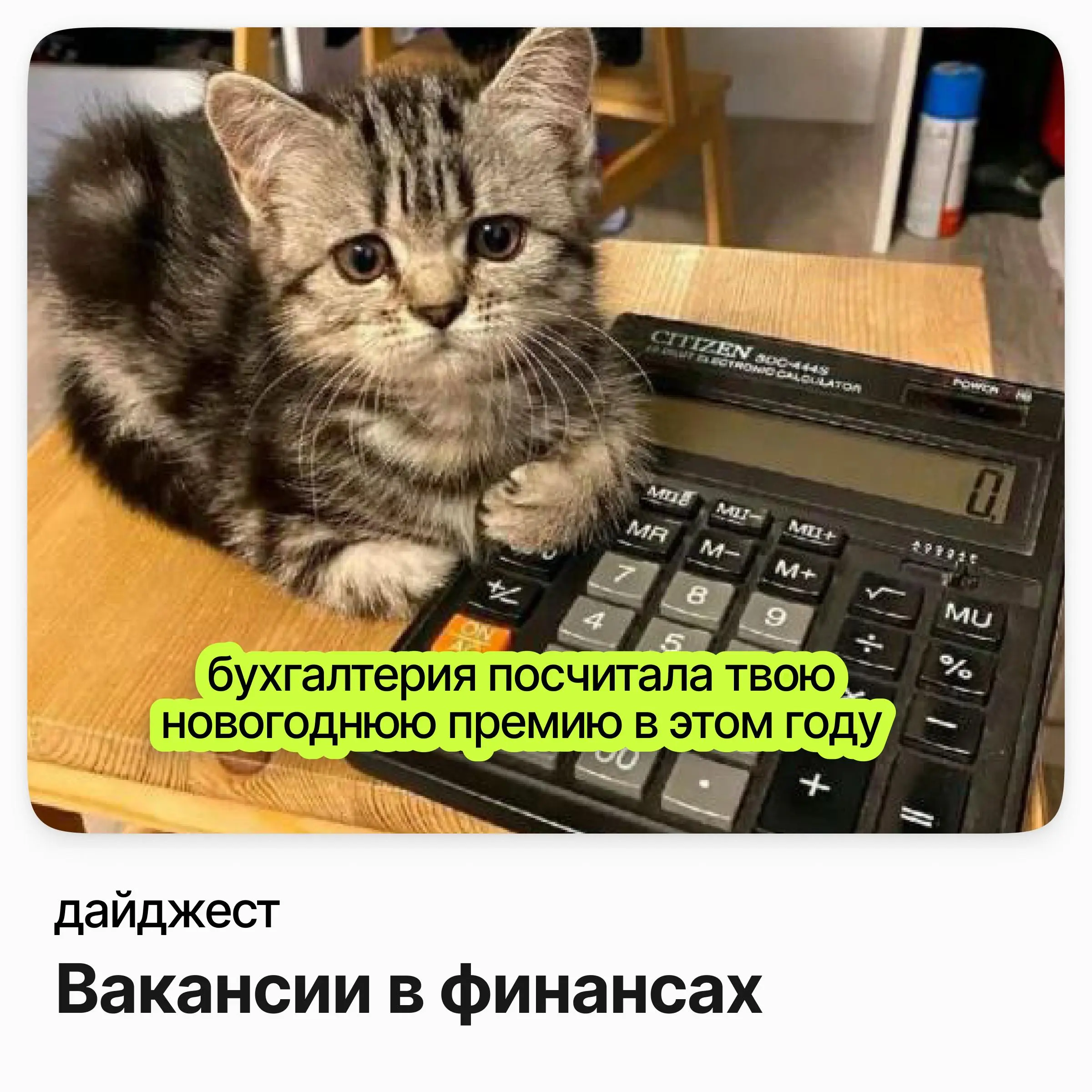 💼💼💼Вакансии в финансах
Экономист / PIONEER
Зарплата: от 217 000 ₽ /на руки
Подробнее
Финансовый аналитик / VK
Зарплата: от 156 000 ₽ /на руки
Подробнее
Финансовый аналитик по моделированию / Деловые л... | Сетка — социальная сеть от hh.ru