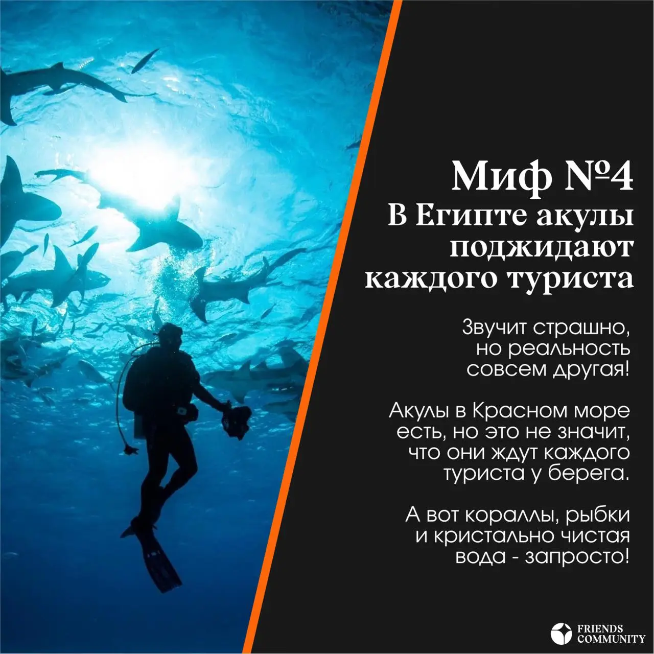 🇪🇬 Сколько мифов про Египет вы уже слышали?
Мы собрали несколько самых популярных и решили проверить, где правда, а где всё-таки стереотипы | Сетка — социальная сеть от hh.ru