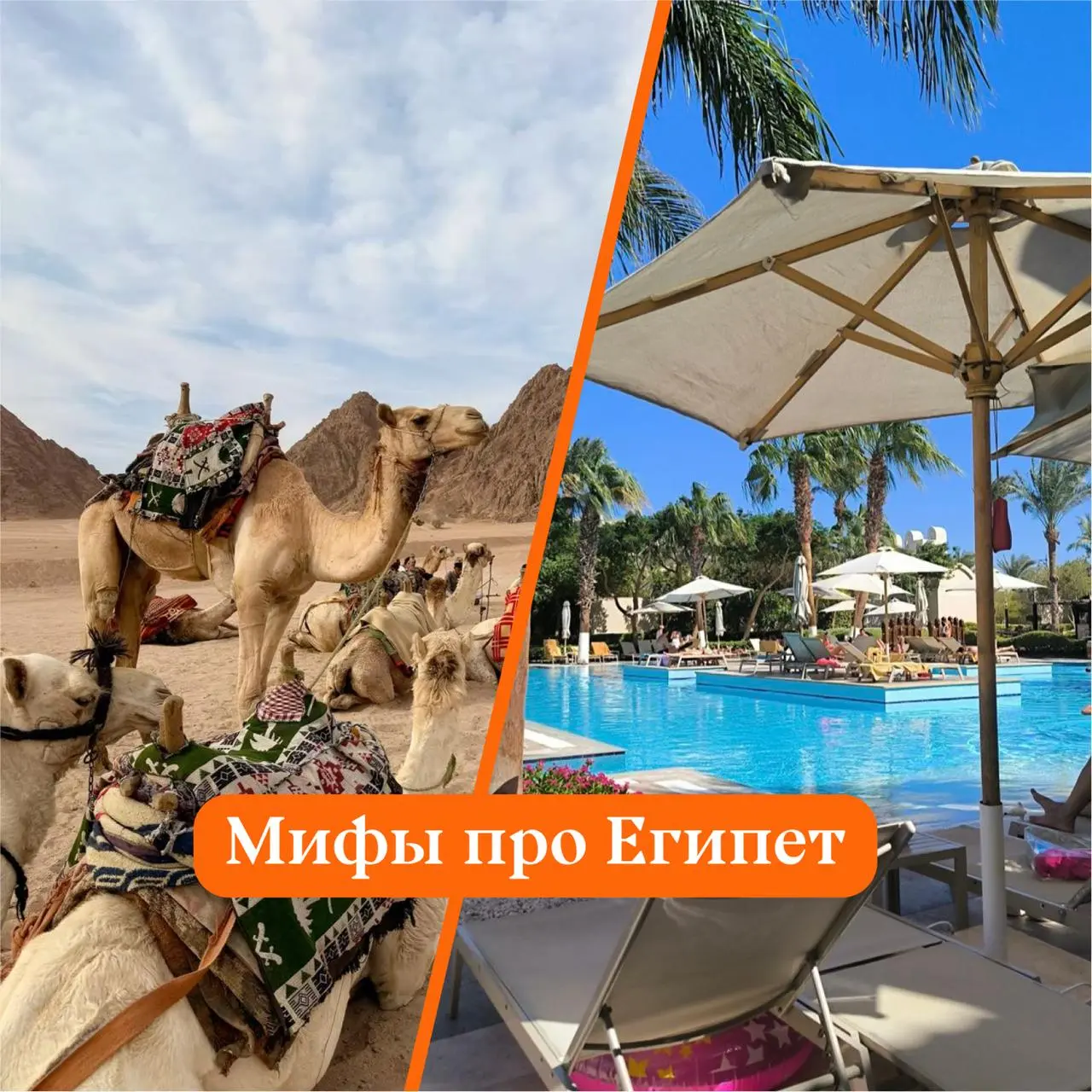 🇪🇬 Сколько мифов про Египет вы уже слышали?
Мы собрали несколько самых популярных и решили проверить, где правда, а где всё-таки стереотипы | Сетка — социальная сеть от hh.ru