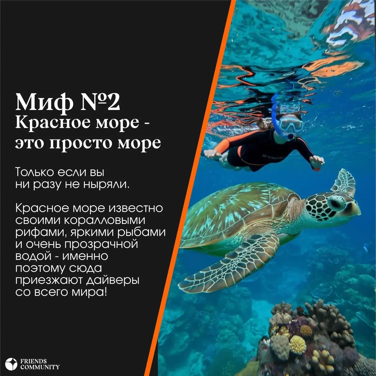 🇪🇬 Сколько мифов про Египет вы уже слышали?
Мы собрали несколько самых популярных и решили проверить, где правда, а где всё-таки стереотипы | Сетка — социальная сеть от hh.ru