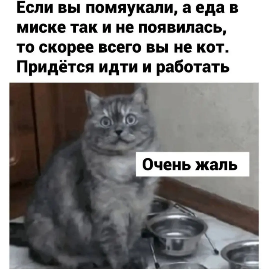 Безвыходная ситуация 😂
БЛОГ В ТГ / БЛОГ В MAX
#Юмор #Коты
В этом посте были ссылки, но мы их удалили по правилам Сетки | Сетка — социальная сеть от hh.ru