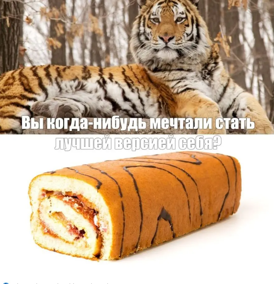#life | Сетка — социальная сеть от hh.ru