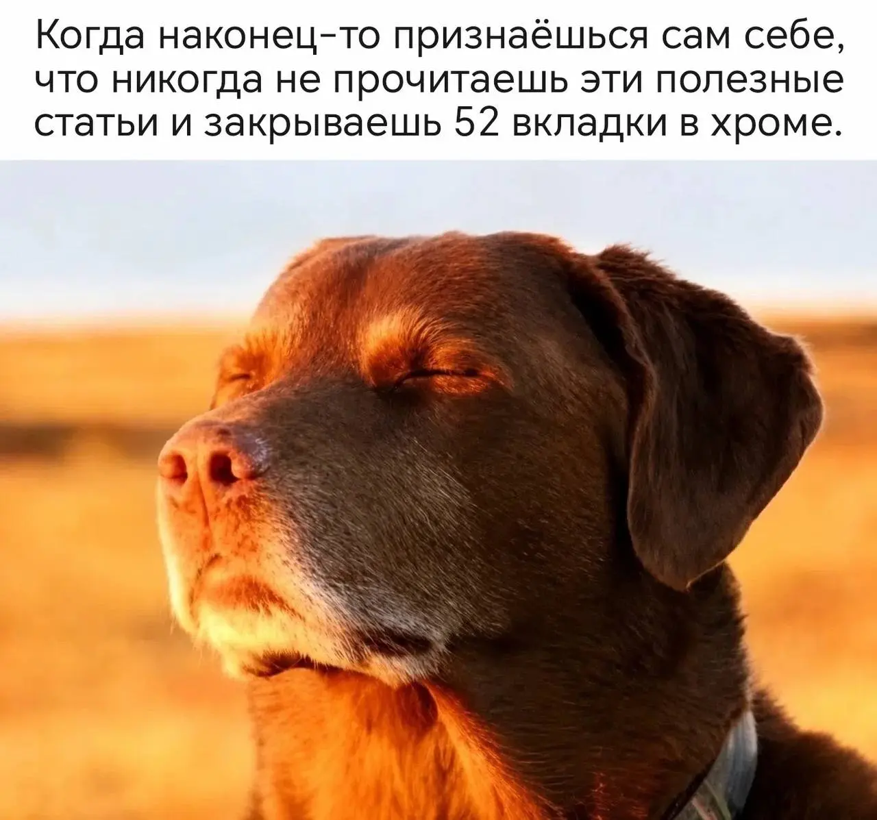 Закрой! Будь счастливым! | Сетка — социальная сеть от hh.ru