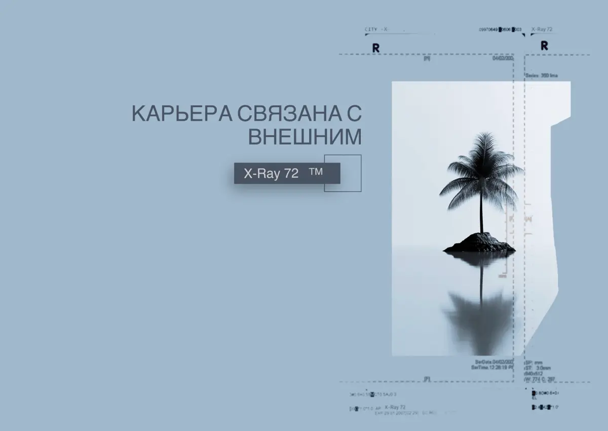 Где карьера возможна? | Сетка — социальная сеть от hh.ru