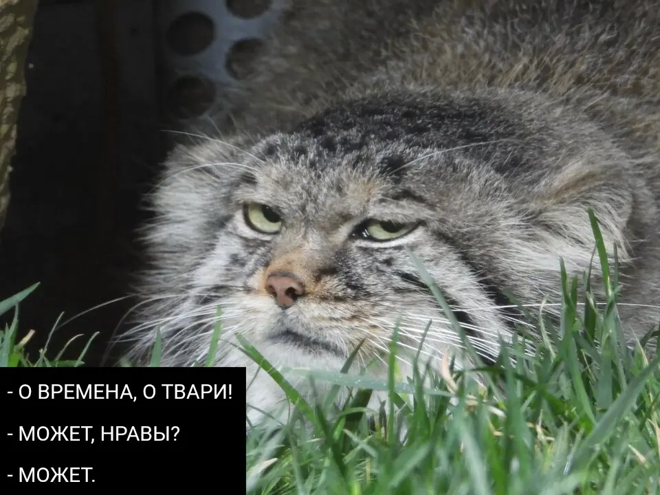 О времена... | Сетка — социальная сеть от hh.ru