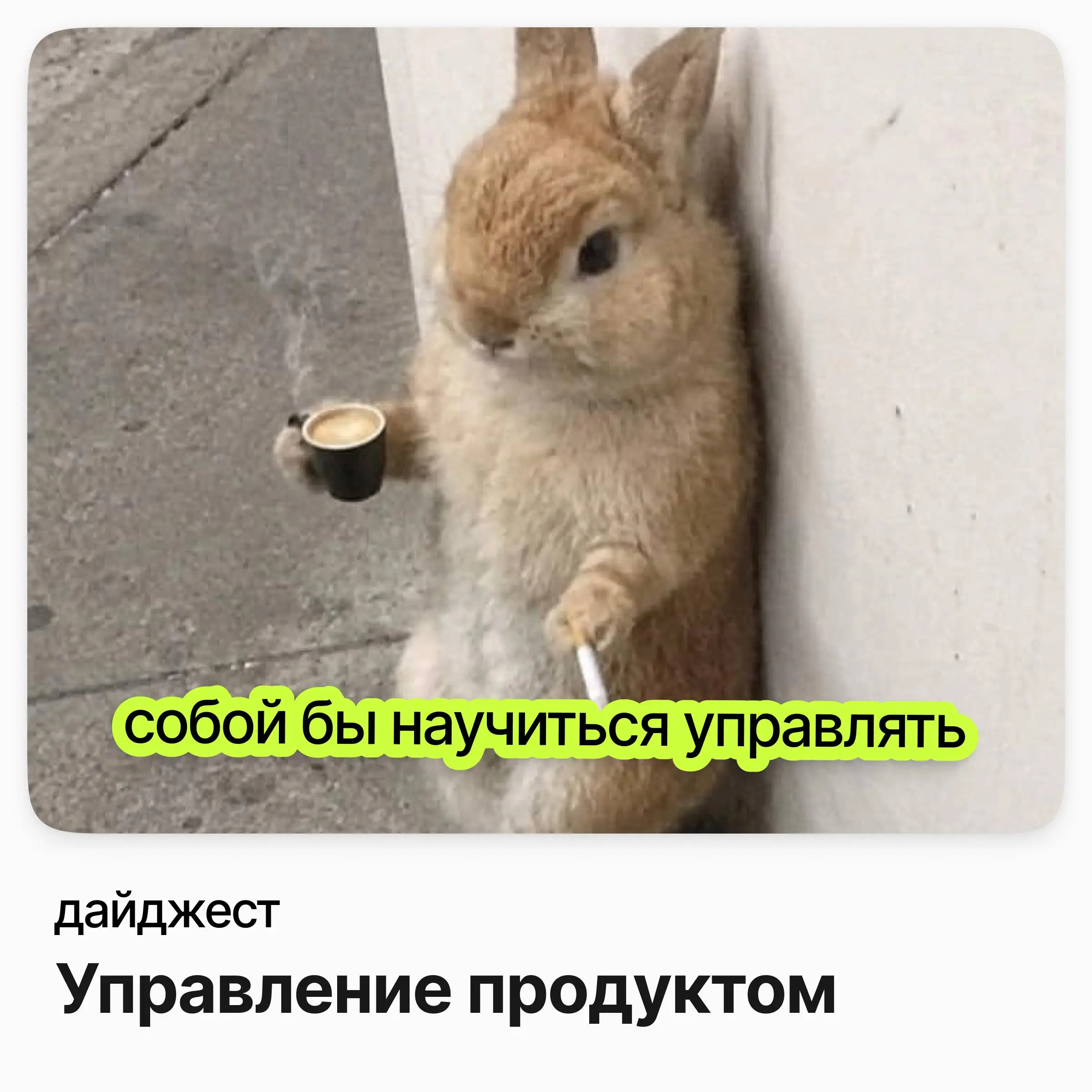 💼💼💼Вакансии в управлении продуктом
Старший менеджер продукта в Одноклассники / VK
Зарплата: до 466 000 ₽ /на руки
Подробнее
Проджект-менеджер креативной команды / Flowwow
Зарплата: до 310 000 ₽ /на ру... | Сетка — социальная сеть от hh.ru