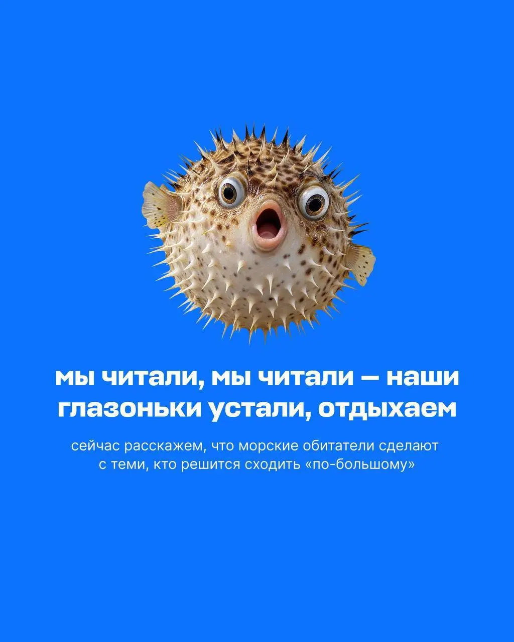 У Авиасейлс появился гайд на тему «Можно ли справлять нужду в море?» | Сетка — социальная сеть от hh.ru