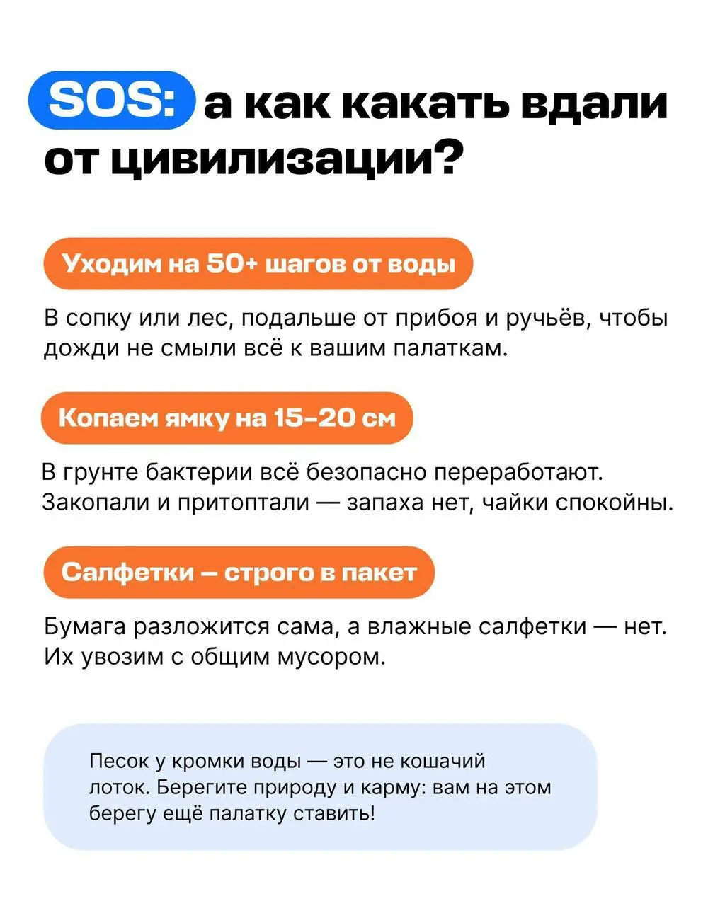 У Авиасейлс появился гайд на тему «Можно ли справлять нужду в море?» | Сетка — социальная сеть от hh.ru