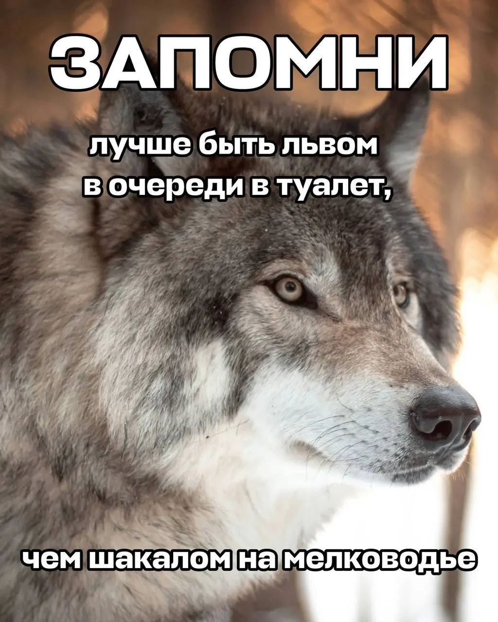 У Авиасейлс появился гайд на тему «Можно ли справлять нужду в море?» | Сетка — социальная сеть от hh.ru