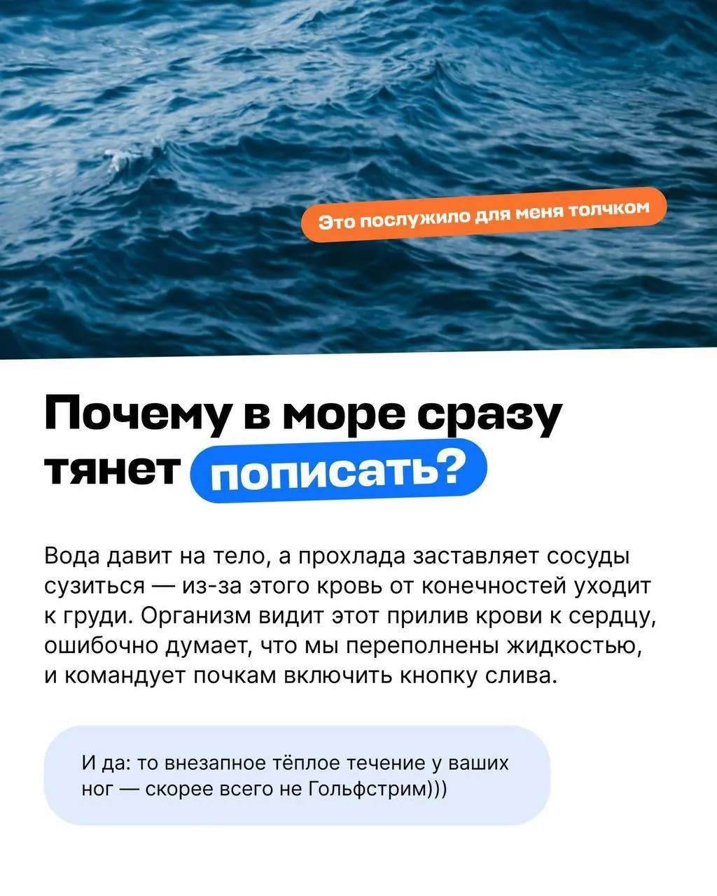 У Авиасейлс появился гайд на тему «Можно ли справлять нужду в море?» | Сетка — социальная сеть от hh.ru