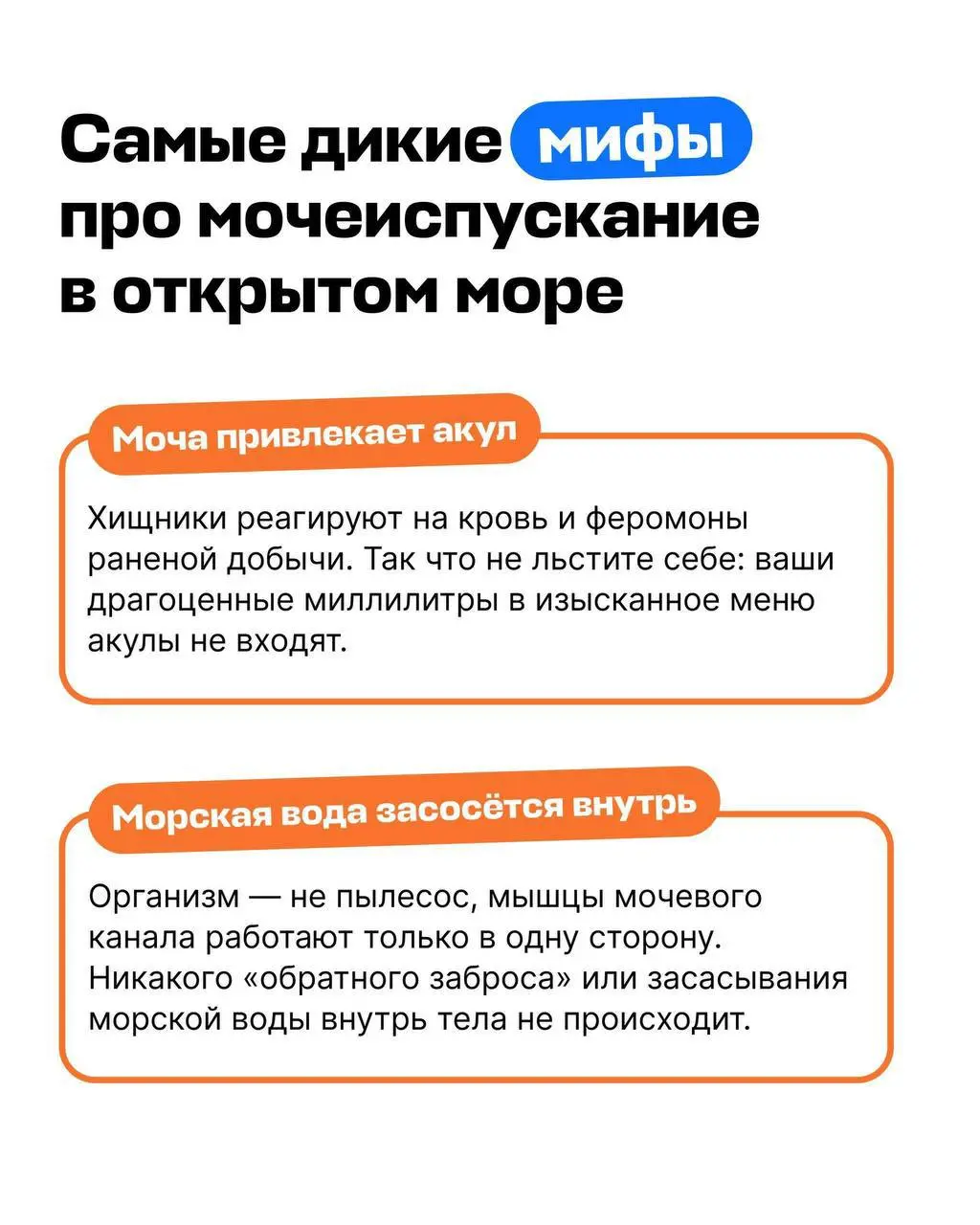 У Авиасейлс появился гайд на тему «Можно ли справлять нужду в море?» | Сетка — социальная сеть от hh.ru