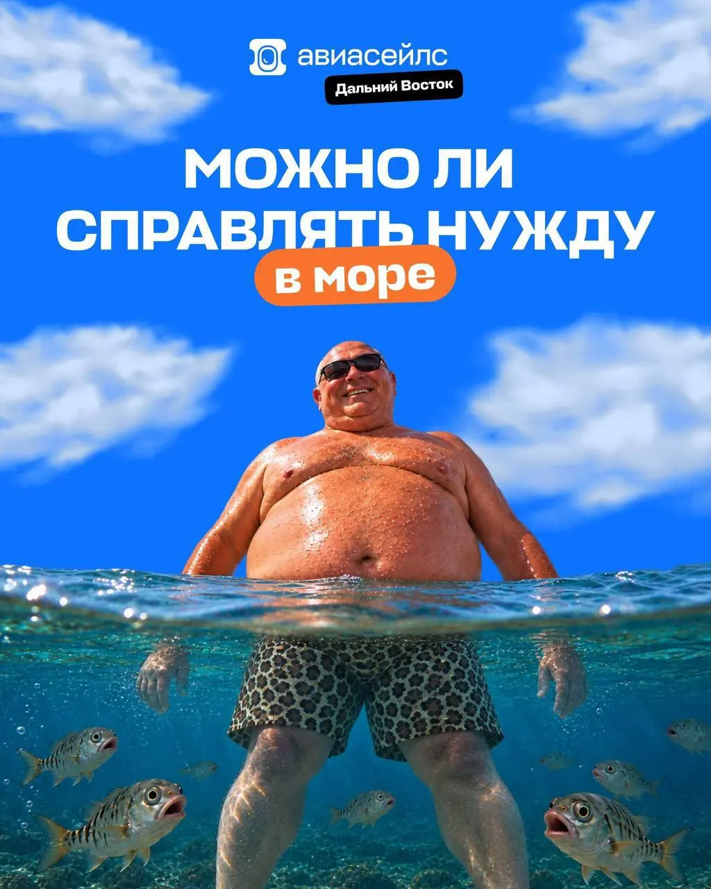 У Авиасейлс появился гайд на тему «Можно ли справлять нужду в море?» | Сетка — социальная сеть от hh.ru