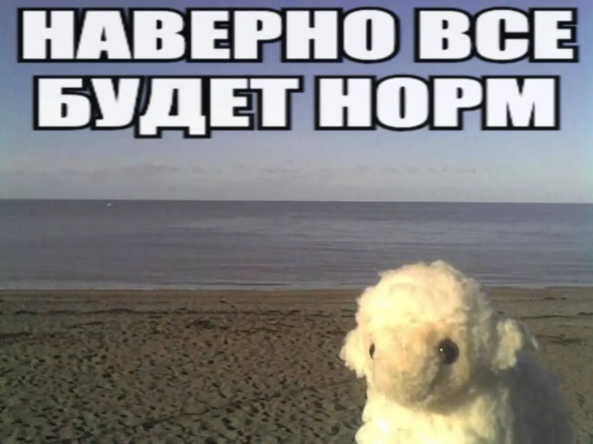 Коллеги-видеографы, помогите советом🙏🏻 | Сетка — социальная сеть от hh.ru