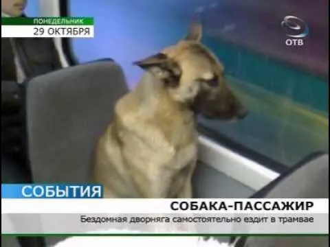 Всем привет!
Это пост о просьбе | Сетка — социальная сеть от hh.ru