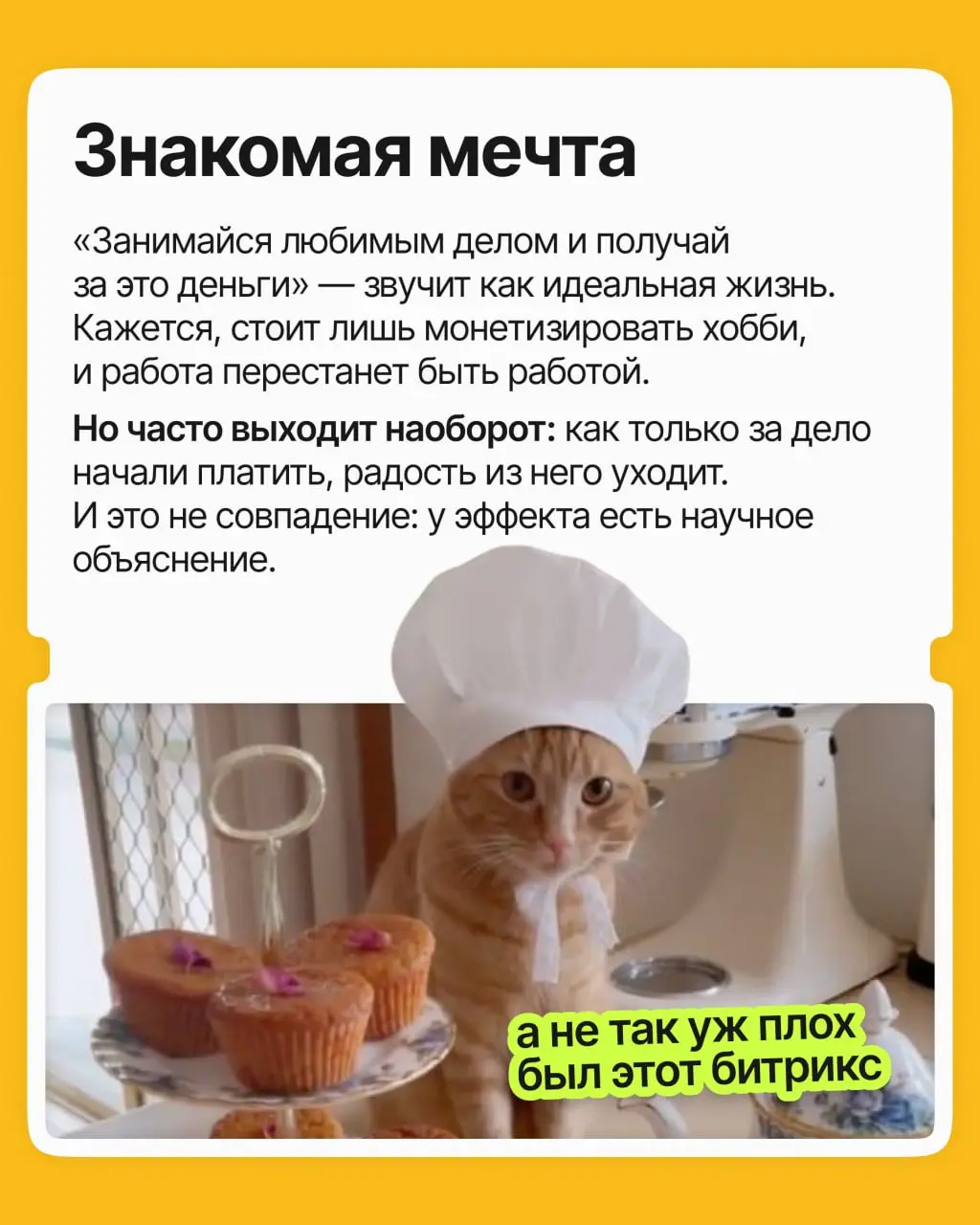 Вы обожаете печь, фотографировать или, скажем, писать музыку. Все говорят монетизировать, вы превращаете любимое дело в источник дохода | Сетка — социальная сеть от hh.ru