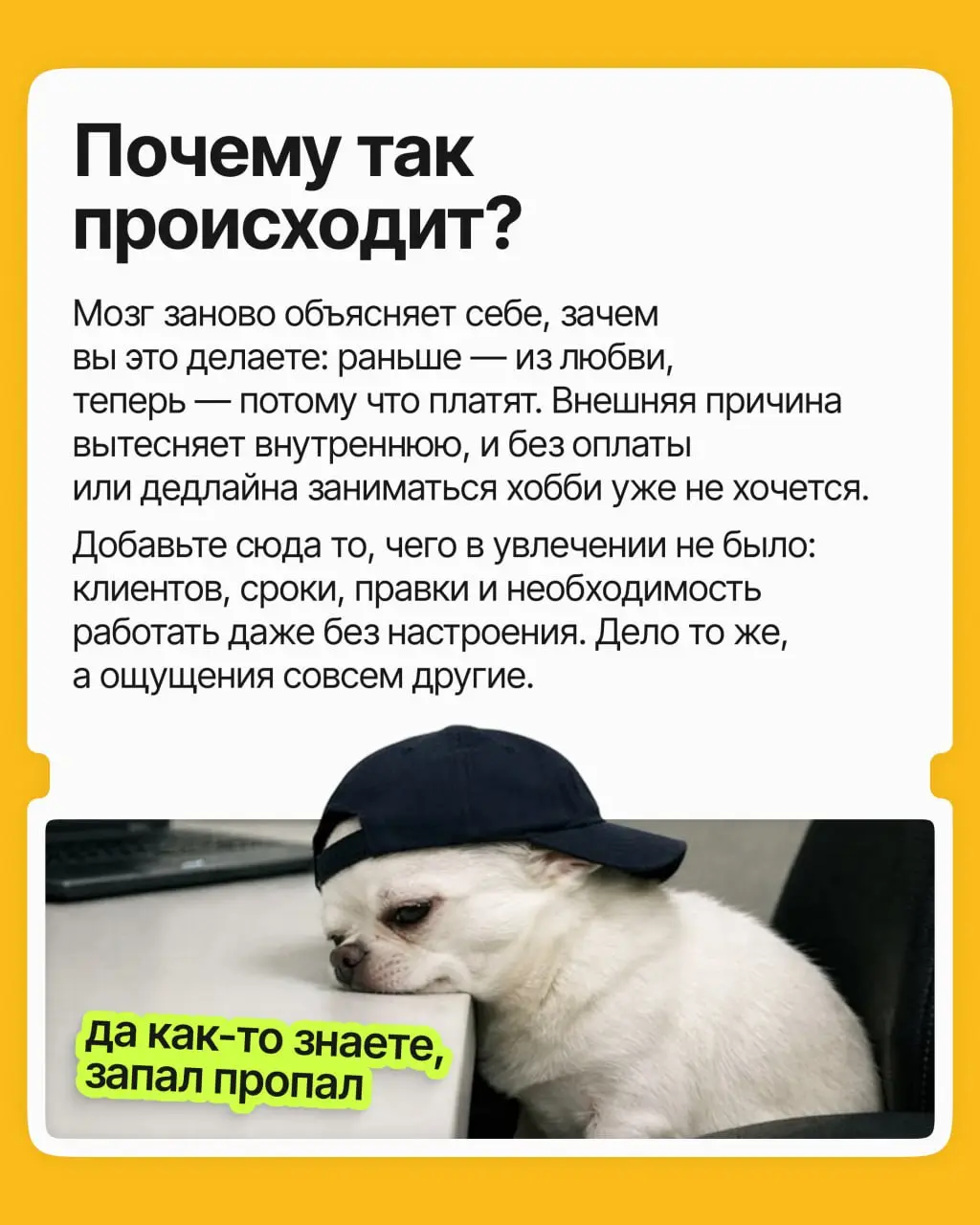 Вы обожаете печь, фотографировать или, скажем, писать музыку. Все говорят монетизировать, вы превращаете любимое дело в источник дохода | Сетка — социальная сеть от hh.ru