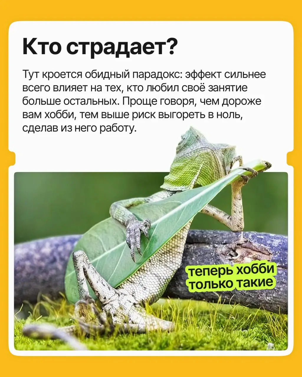 Вы обожаете печь, фотографировать или, скажем, писать музыку. Все говорят монетизировать, вы превращаете любимое дело в источник дохода | Сетка — социальная сеть от hh.ru