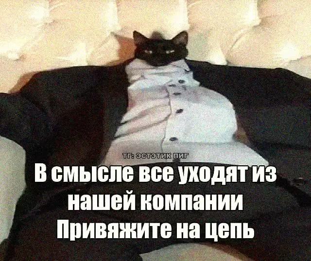 Как выживать в современном мире? | Сетка — социальная сеть от hh.ru