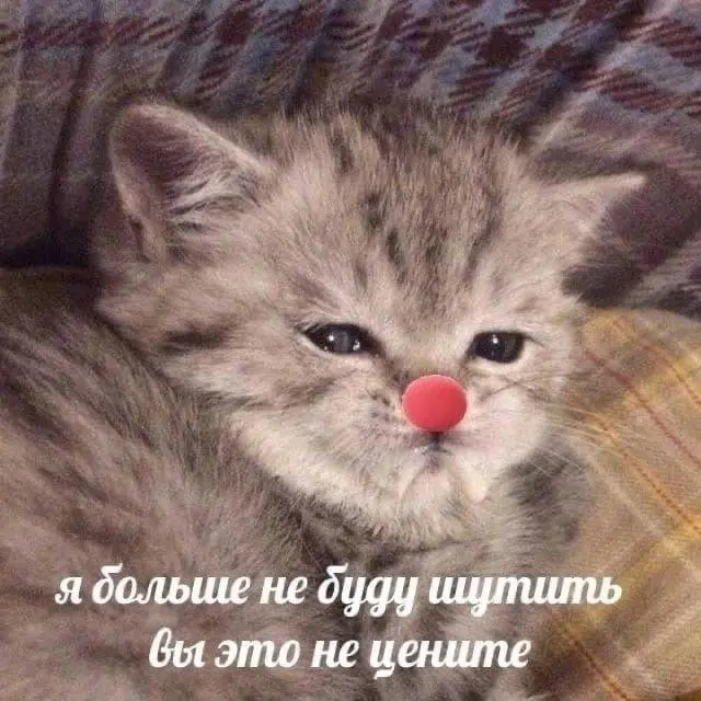 Когда скинул в рабочий чат мем, а его все проигнорировали | Сетка — социальная сеть от hh.ru